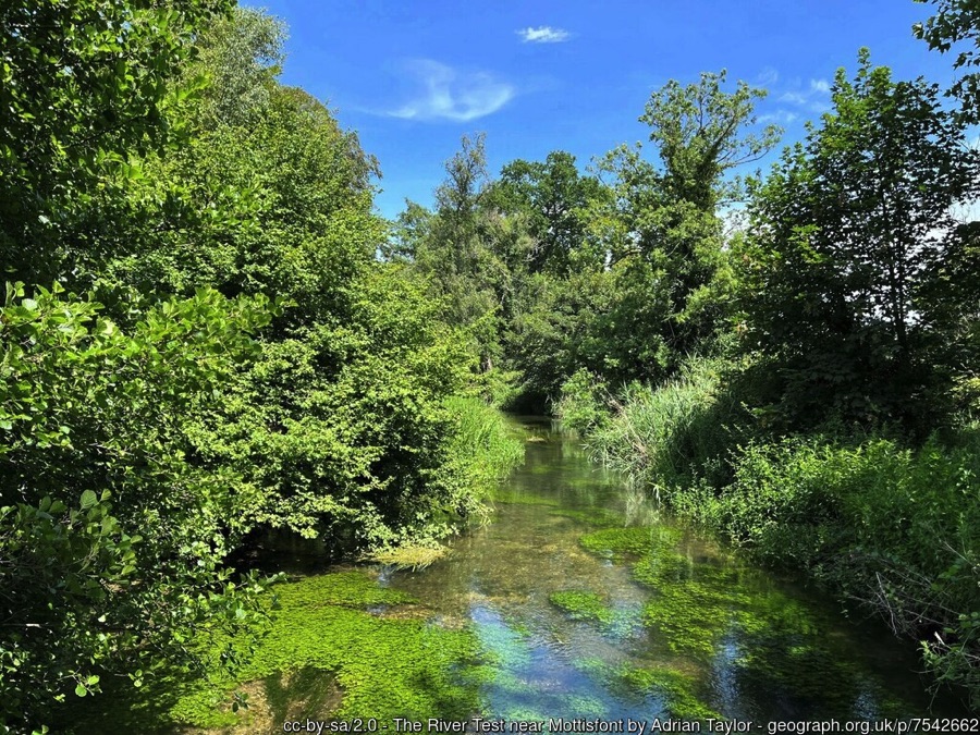 The River Test near Mottisfont